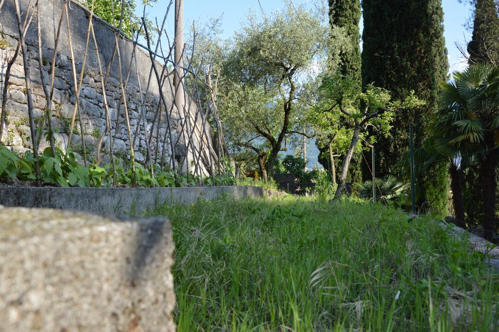 Arco Climbing Villa Kültér fotó