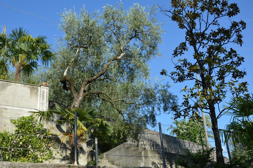 Arco Climbing Villa Kültér fotó